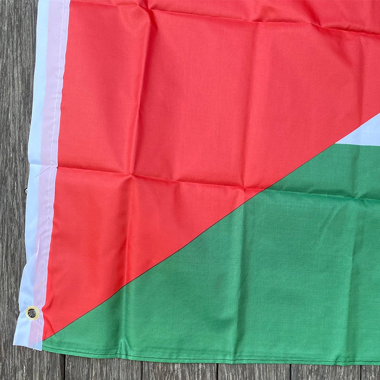 Large Palestine Flag